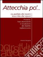 Attecchia po'.... E-book. Formato PDF ebook