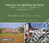 Milano Metropoli Rurale - Storia, Attualità e la Strategia Cascina Linterno VOL. 2: Città, Istituzioni, Cascine e Paesaggi. E-book. Formato PDF ebook di Angelo Bianchi