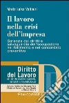Il lavoro nella crisi dell'impresa. Garanzia dei diritti e salvaguardia dell'occupazione nel fallimento e nel concordato preventivo. E-book. Formato PDF ebook
