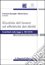 Giustizia del lavoro ed effettività dei diritti. E-book. Formato PDF ebook