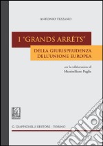 I «grands arrêts» della giurisprudenza dell'Unione europea. E-book. Formato PDF