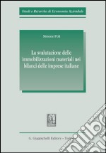 La svalutazione delle immobilizzazioni materiali nei bilanci delle imprese italiane. E-book. Formato PDF ebook