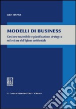 Modelli di business. Gestione sostenibile e pianificazione strategica nel settore dell'igiene ambientale. E-book. Formato PDF ebook