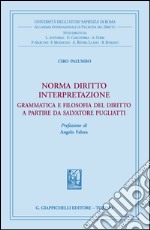 Norma diritto interpretazione: Grammatica e filosofia del diritto a partire da Salvatore Pugliatti. Prefazione di Angelo Falzea. E-book. Formato EPUB ebook