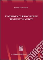 L'obbligo di provvedere tempestivamente. E-book. Formato PDF ebook