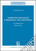 Ammortizzatori sociali e solidarietà post industriale. E-book. Formato PDF