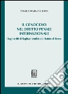 Il genocidio nel diritto penale internazionale. Dagli scritti di Raphael Lemkin allo Statuto di Roma. E-book. Formato PDF ebook di Carmelo D. Leotta