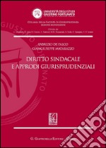 Diritto sindacale e approdi giurisprudenziali. E-book. Formato PDF