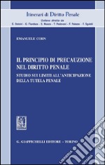 Il principio di precauzione nel diritto penale. Studio sui limiti all'anticipazione della tutela penale. E-book. Formato PDF ebook