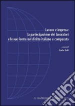 Lavoro e impresa: la partecipazione dei lavoratori e le sue forme nel diritto italiano e comparato. E-book. Formato PDF