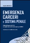 Emergenza carceri e sistema penale: I decreti legge del 2013 e la sentenza della Corte cost. n. 32/2014. Aggiornato al. d.l. 20 marzo 2014, n.36. Presentazione di E. Dolcini e  G.L. Gatta. E-book. Formato EPUB ebook