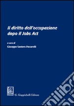 Il diritto dell'occupazione dopo il Jobs Act: Atti del Convegno - Università degli Studi di Roma 'La Sapienza' - 13 giugno 2016. E-book. Formato EPUB ebook