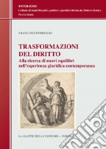 Trasformazioni del diritto: Alla ricerca dei nuovi equilibri nell'esperienza giuridica contemporanea. E-book. Formato EPUB