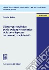 L'intervento pubblico per lo sviluppo economico delle aree depresse tra mercato e solidarietà. E-book. Formato PDF ebook