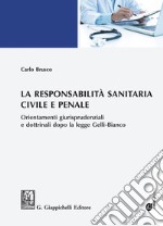 La responsabilità sanitaria civile e penale: Orientamenti giurisprudenziali e dottrinali dopo la legge Gelli-Bianco. E-book. Formato EPUB ebook