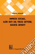 Imprese sociali, altri enti del terzo settore, società benefit. E-book. Formato PDF ebook