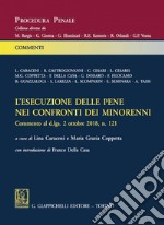 L'esecuzione delle pene nei confronti dei minorenni: D.lgs 2 ottobre 2018, n.121. E-book. Formato PDF