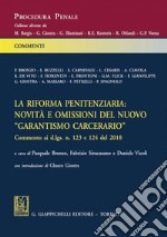 La riforma penitenziaria: novità e omissioni del nuovo 'garantismo' carcerario: Commento ai d.lgs. n. 123 e 124 del 2018. E-book. Formato PDF ebook