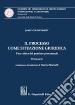 Il processo come situazione giuridica: Una critica del pensiero processuale. E-book. Formato PDF ebook