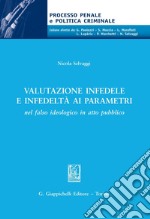 Valutazione infedele e infedeltà ai parametri. E-book. Formato PDF ebook