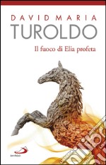 Il fuoco di Elia profeta. Omelie 1989-1990 - Testamento spirituale. E-book. Formato EPUB ebook