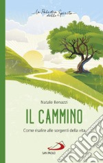 Il cammino: Come risalire alle sorgenti della vita. E-book. Formato EPUB ebook