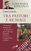 Camminando tra pastori e re magi: Trenta piccole meditazioni e un 'quaderno' per la riflessione personale: un percorso di preparazione al Natale. E-book. Formato EPUB ebook