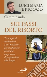 Camminando sui passi del Risorto: Trenta piccole meditazioni e un "quaderno" per la riflessione personale: un percorso di preparazione alla Pasqua. E-book. Formato EPUB