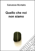 Quello che noi non siamo. E-book. Formato EPUB ebook