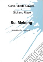 Sul Mekong. Undici mesi controcorrente. E-book. Formato EPUB ebook