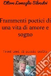 Frammenti poetici di una vita di amore e sogno. E-book. Formato EPUB ebook di Ettore Lomaglio Silvestri