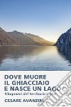 DOVE MUORE IL GHIACCIAIO E NASCE UN LAGO. E-book. Formato EPUB ebook