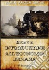 Breve introduzione all'economia indiana. E-book. Formato EPUB ebook