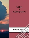 Within a budding grove. E-book. Formato EPUB ebook di Marcel Proust
