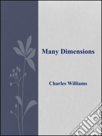 Many dimensions. E-book. Formato EPUB ebook di Charles Williams