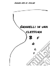 Granelli in una clessidra. E-book. Formato Mobipocket ebook di Ganna Abd El Malak