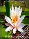 Luce dei miei sogni. E-book. Formato EPUB ebook di Apollonia (alias Lia) Saragaglia