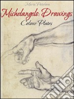 Michelangelo: drawings colour plates. E-book. Formato EPUB ebook