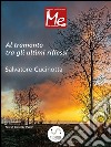 Al-tramonto tra gli ultimi riflessi. E-book. Formato PDF ebook di Salvatore Cucinotta