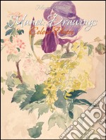 Manet: drawings colour plates. E-book. Formato EPUB ebook