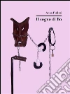 Il sogno di Bo. E-book. Formato Mobipocket ebook di Anna Pulizzi
