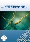Espressione di caveoline in cellule neuronali immortalizzate. E-book. Formato PDF ebook