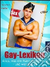 Gay-Lexikon - Alles, was ein schwuler Mann wissen muss - und was geil ist. Sex, Fetisch, Lifestyle und Gesundheit. E-book. Formato EPUB ebook di Tom-Erik Harter