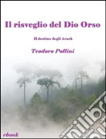 Il risveglio del Dio Orso (Il destino degli Arash Vol.2). E-book. Formato EPUB ebook