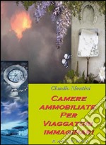 Camere ammobiliate per viaggiatori immaginari. E-book. Formato PDF ebook