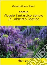 Viaggio fantastico dentro un labirinto poetico. E-book. Formato PDF ebook