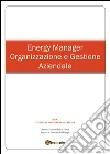 Energy Manager - Organizzazione e Gestione Aziendale. E-book. Formato PDF ebook di Gabriele Uberti