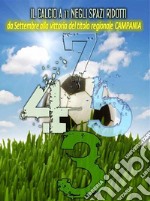 Il calcio a 11 negli spazi ridotti. E-book. Formato EPUB ebook