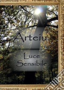 Luce sensibile. E-book. Formato PDF ebook di Arteiu Azizian