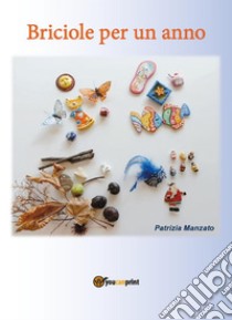 Briciole per un anno. E-book. Formato PDF ebook di Patrizia Manzato